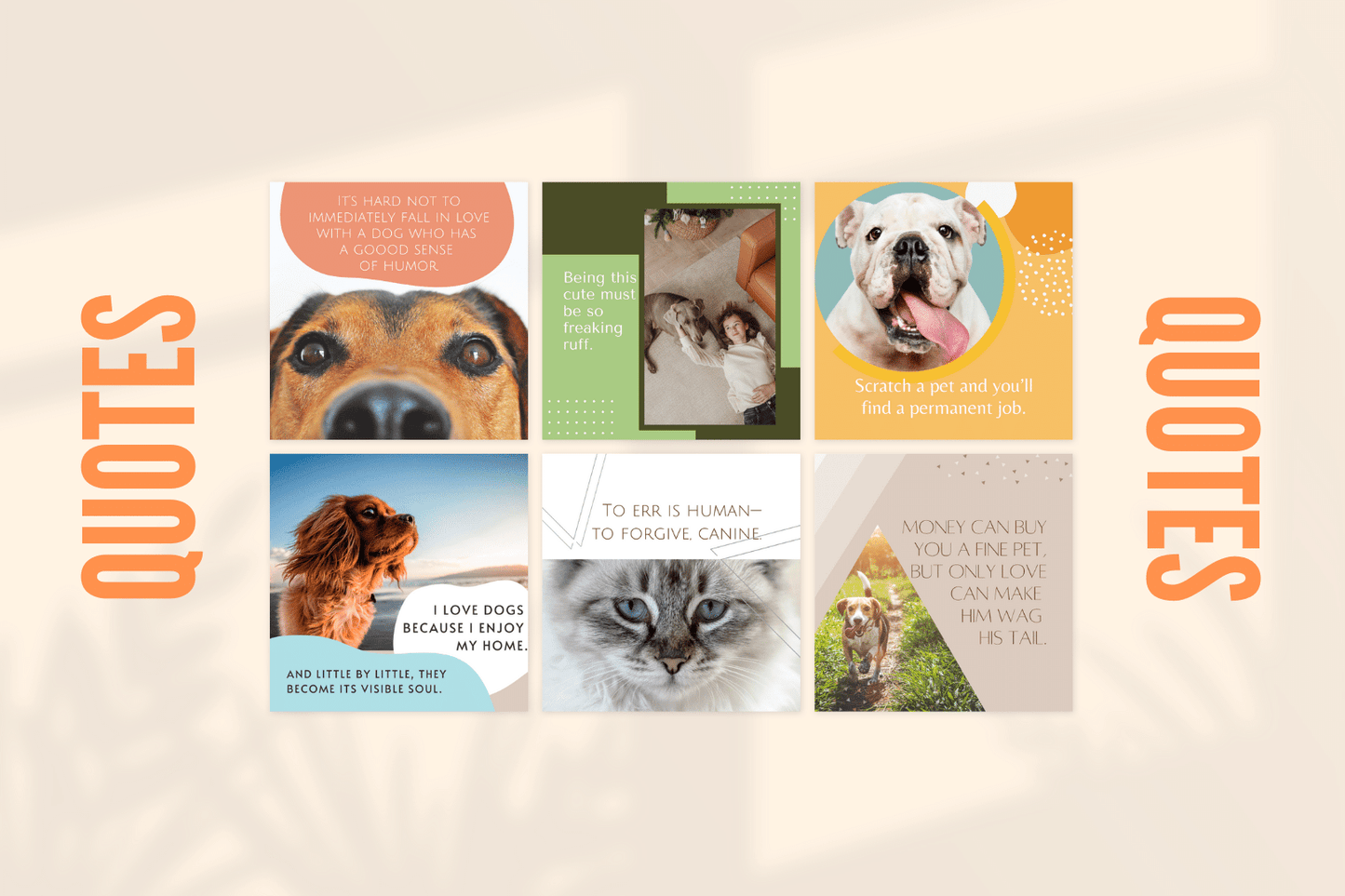 300 dierenwinkel templates 